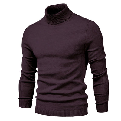 Men's Solid Color Slim Pullover Turtleneck Sweater Winter Casual Tops Clothing